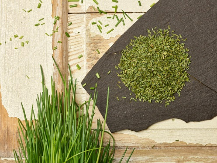 Schnittlauch - Chives